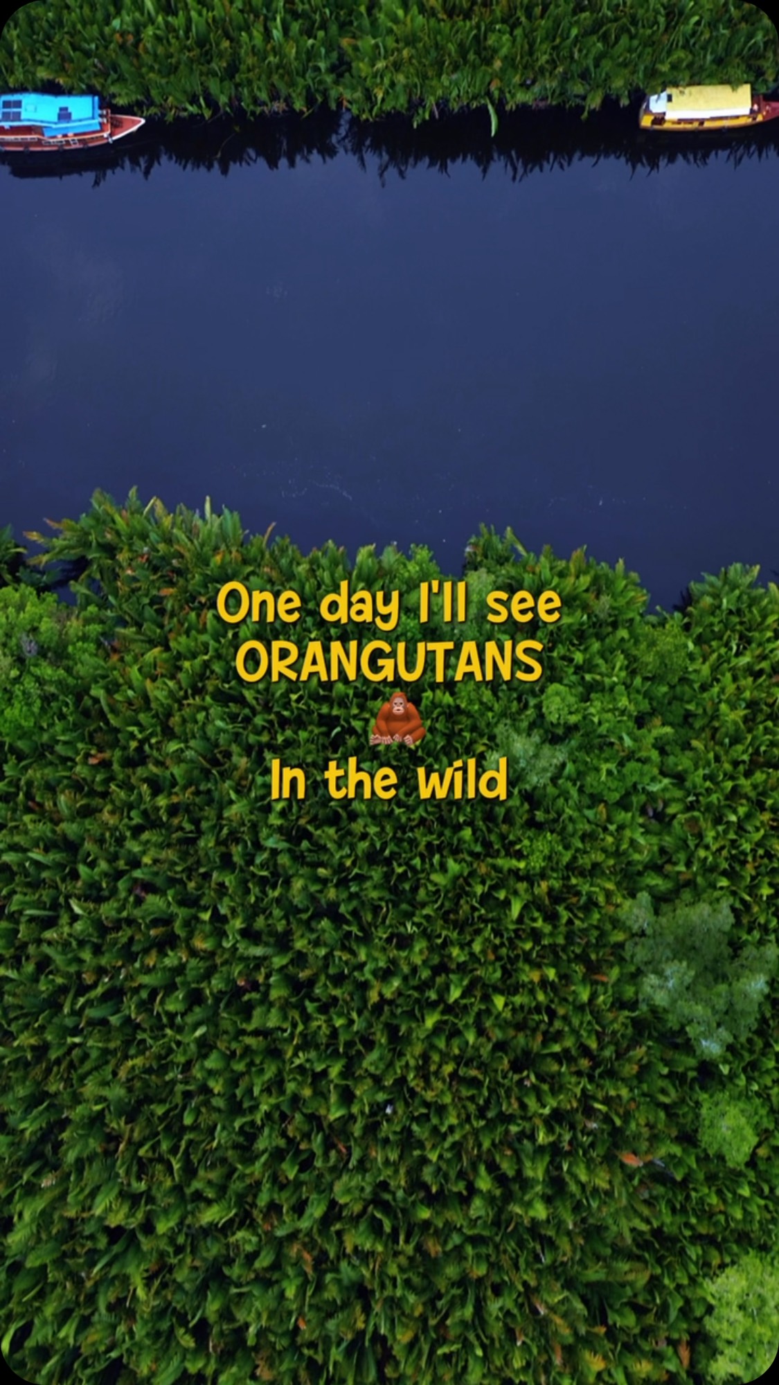 Rasanya belum lengkap menjelajahi Kalimantan kalau belum menginjakkan kaki di Tanjung Puting. Di sini, kamu bukan cuma melihat hutan hujan tropis, tapi juga bertemu langsung dengan orangutan di habitat aslinya. 🌿🦧

Open trip atau privat trip
Untuk info lebih lanjut bisa langsung ke
Whatsapp Admin +62 821-5992-6152

#tanjungputing #triptanjungputing #opentriptanjungputing #orangutan #kalimantan