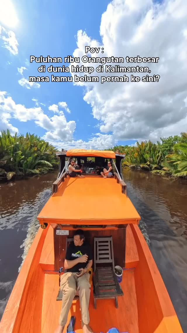 Terimakasih yang sudah berkunjung ke taman nasional tanjung puting bersama @beborneotour semoga setiap perjalanan jadi cerita yang tak hanya indah, tapi juga berarti.

#tanjungputing #opentriptanjungputing #triptanjungputing #orangutan #kalimantan