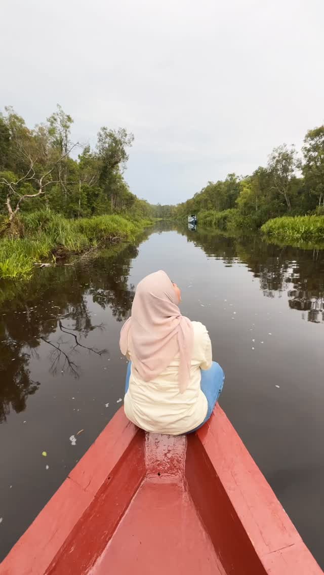 Menikmati alam dengan diiringi sound manual 😂

#tanjungputing #orangutan #klotok
