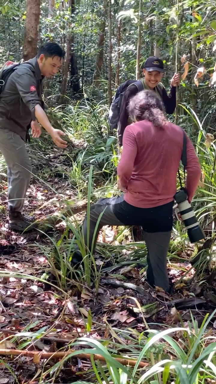 Kalau ingin melihat sisi asli hutan Kalimantan, siap-siap kaki tenggelam dulu.

Open trip atau privat trip
Untuk info lebih lanjut bisa langsung ke
Whatsapp Admin +62 821-5992-6152

#sebangaunationalpark #sebangau #punggualas #orangutan #kalimantan