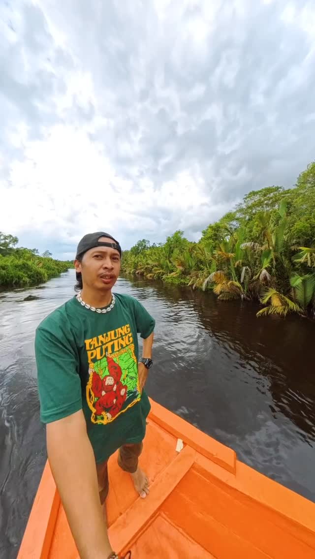 Masih banyak hewan lainnya yg tidak tertangkap kamera, tanjunh puting banyak menyimpan keindahan keunikan tersendiri yg bikin kalian takjub.
Yuk booking dari sekarang 
Open trip dan privat trip bisa DM kita 🥰

#tanjungputing #opentriptanjungputing #triptanjungputing #orangutan