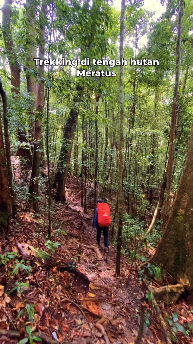 Yuk jelajahi keindahan Hutan Meratus
Nikmati trekking seru, udara segar pegunungan, dan kesejukan air terjun alami.
Open trip & private trip tersedia — ajak teman atau datang sendiri, dijamin seru.
#hutanmeratus #kalimantan #borneo