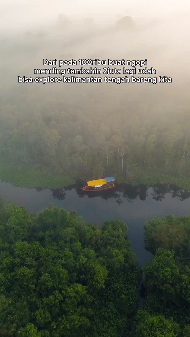 Masih banyak sudut tersembunyi yang nunggu kamu datang
Open trip atau privat trip
Untuk info lebih lanjut bisa langsung ke
Whatsapp Admin +62 821-5992-6152

#opentriptanjungputing #triptanjungputing #orangutan #sebangau #kalimantan